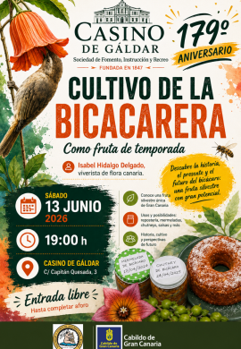 Una charla en el Casino de Gáldar abordará las posibilidades culinarias y agrícolas del bicácaro