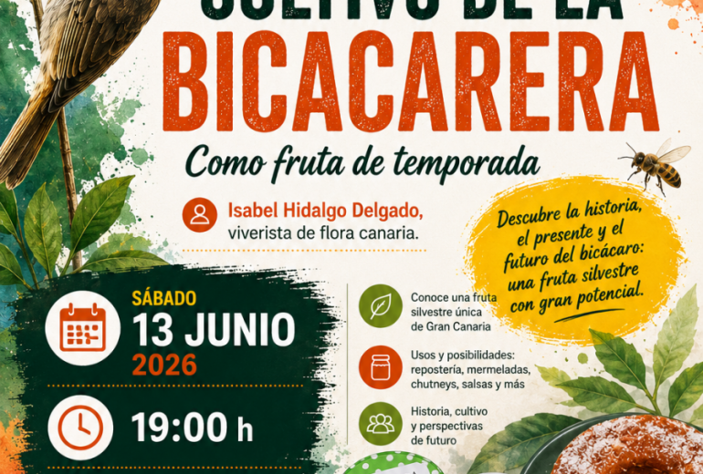 Una charla en el Casino de Gáldar abordará las posibilidades culinarias y agrícolas del bicácaro