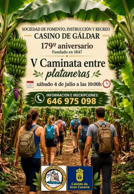El Casino de Gáldar celebra la V Caminata entre Plataneras.