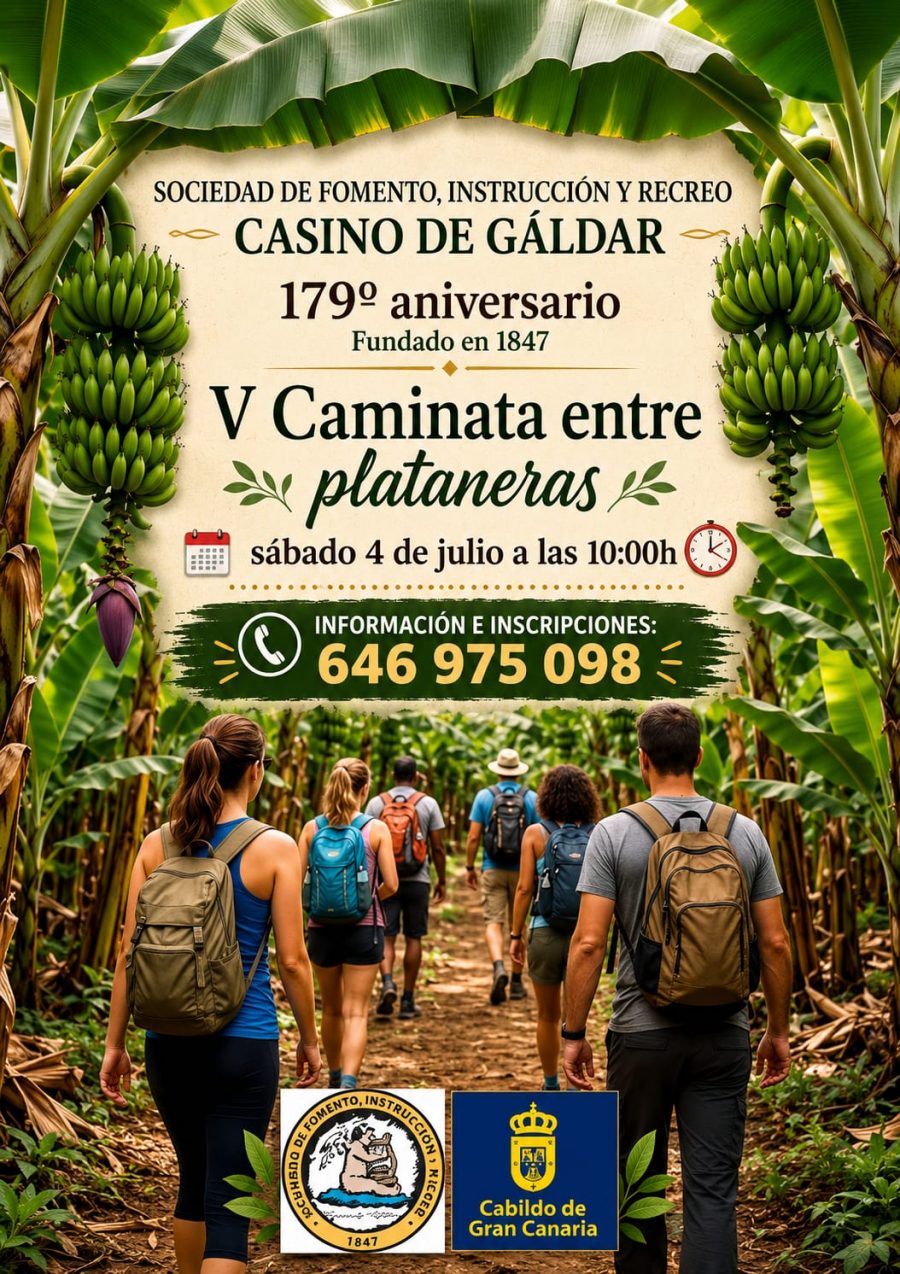 El Casino de Gáldar celebra la V Caminata entre Plataneras.